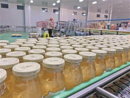 南疆邊城建新功 食品產業譜新篇